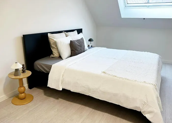 Appartement Stylish 2 Apts, 15-min Walk To Center Gent