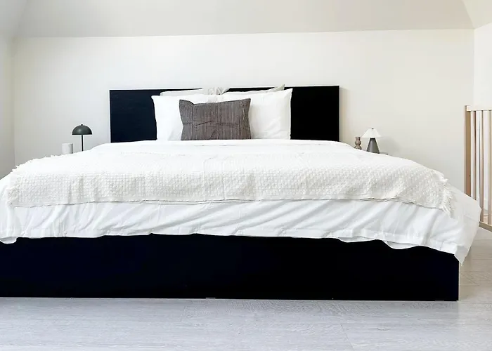 Stylish 2 Apts, 15-min Walk To Center 公寓 根特